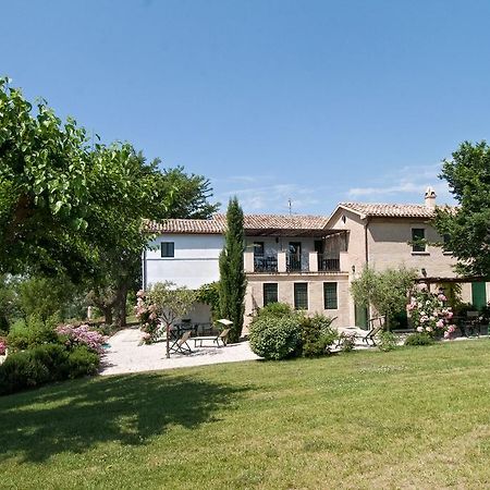 Vigna Sant' Amico Country House Морро-д'Альба Экстерьер фото