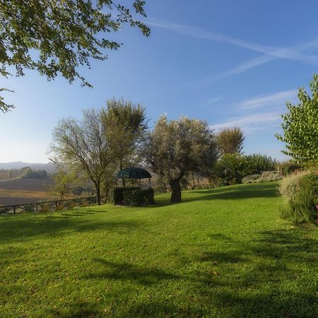 Vigna Sant' Amico Country House Морро-д'Альба Экстерьер фото