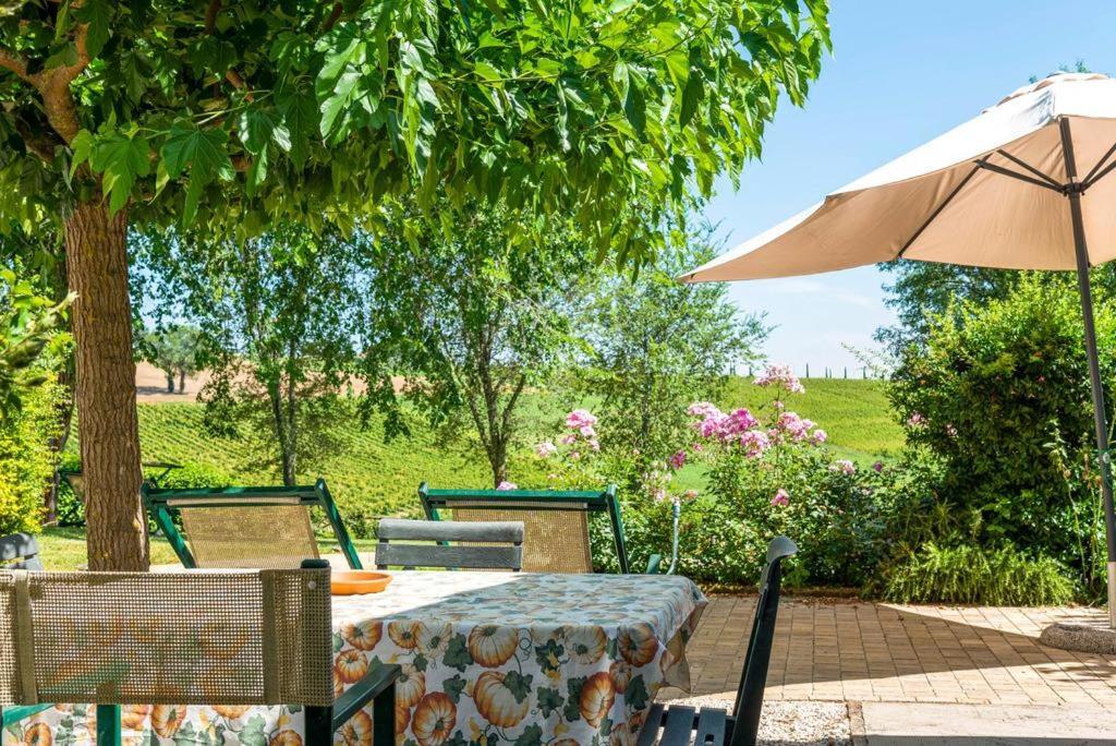 Vigna Sant' Amico Country House Морро-д'Альба Экстерьер фото