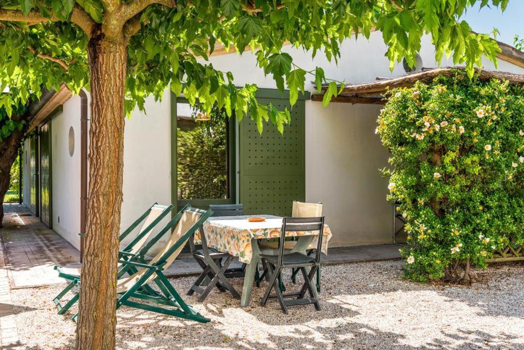 Vigna Sant' Amico Country House Морро-д'Альба Экстерьер фото