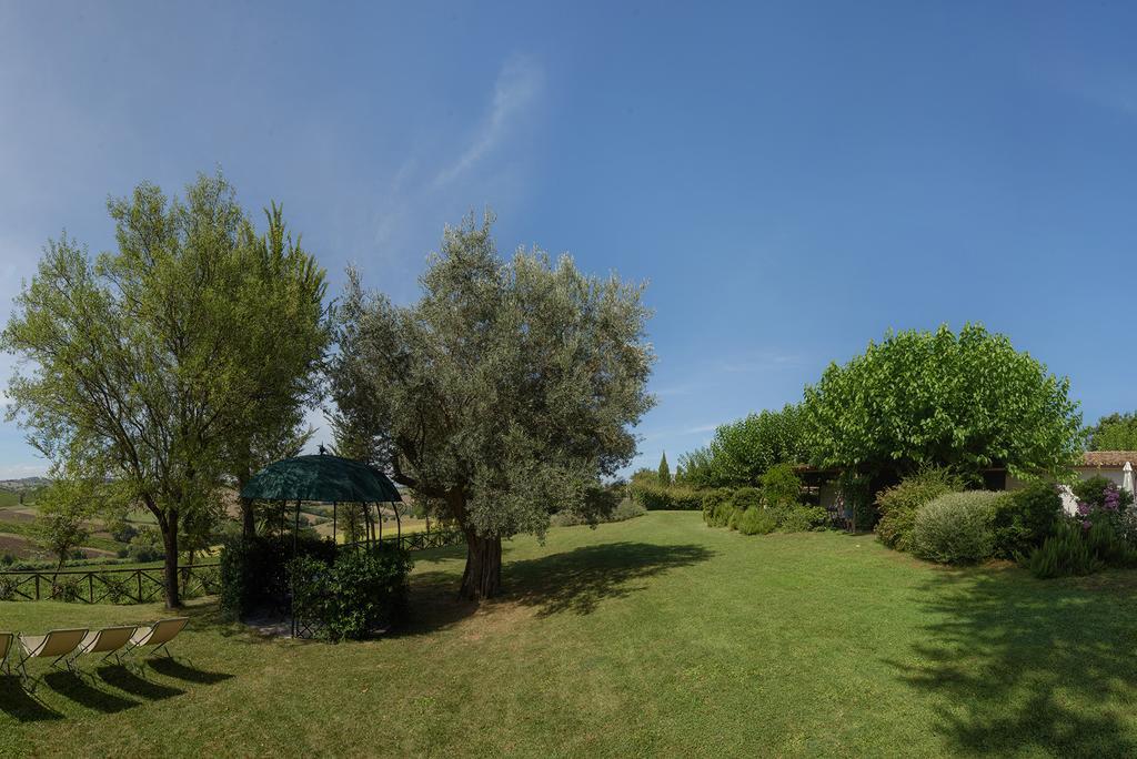 Vigna Sant' Amico Country House Морро-д'Альба Экстерьер фото